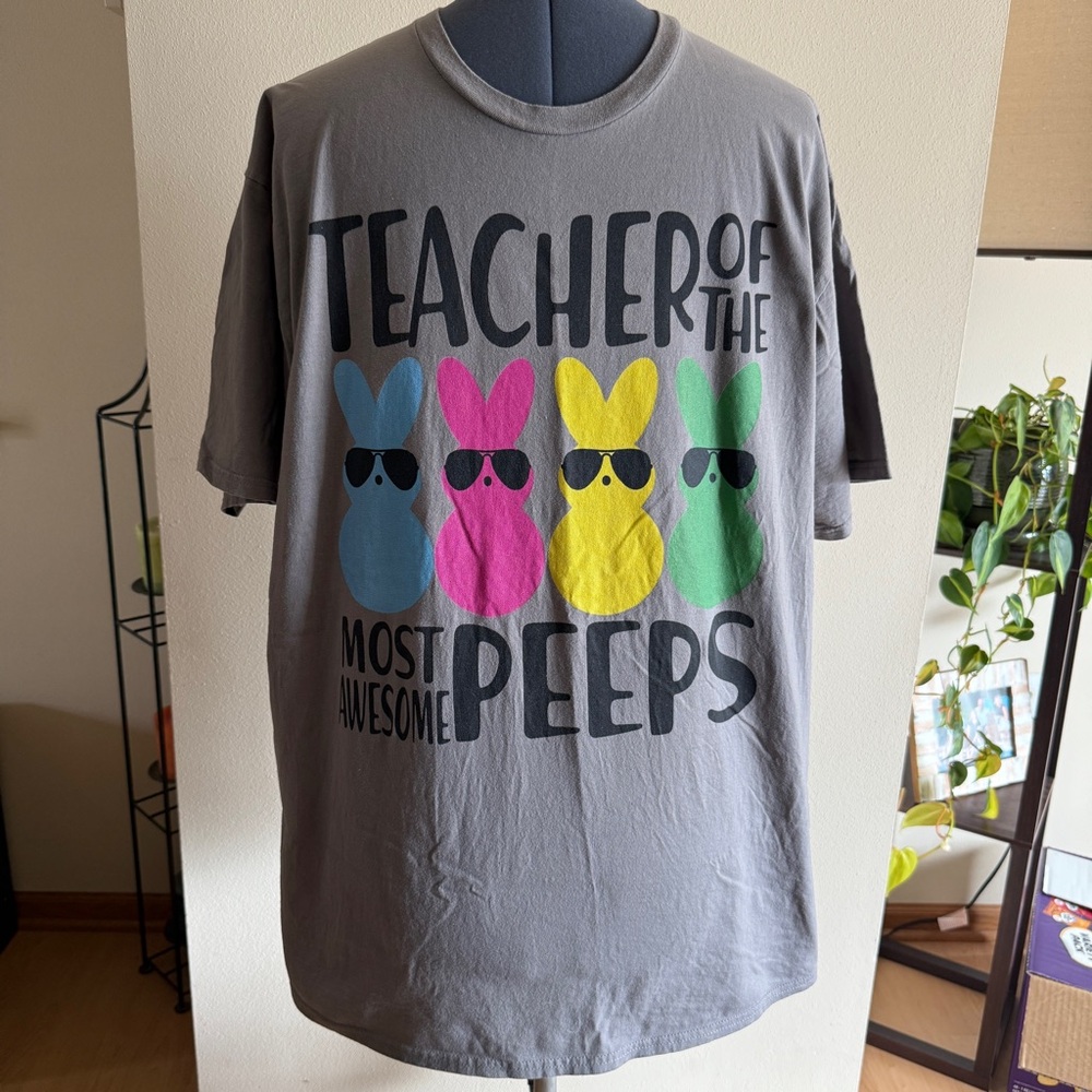 “TEACHER OF THE MOST AWESOME PEEPS” Gray Graphic Tee T-Shirt, Women’s Size 2XL